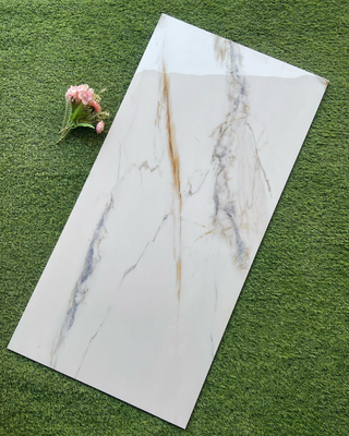 600x1200mm Porzellantfliesen Große Größe und wettbewerbsfähig für Bodenbelag